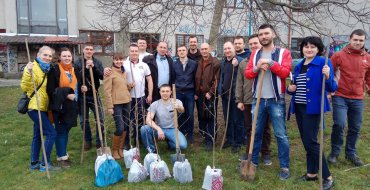 Мініатюра