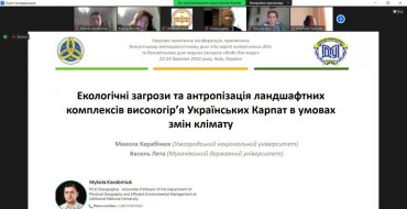 Мініатюра