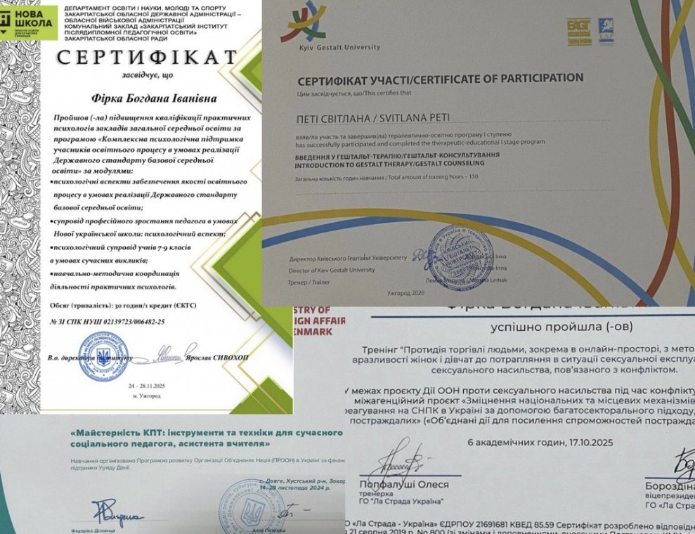 НЕФОРМАЛЬНА ОСВІТА БАКАЛАВРІВ-ПСИХОЛОГІВ ЯК ПРОСТІР ПРОФЕСІЙНОГО ЗРОСТАННЯ НЕФОРМАЛЬНА ОСВІТА БАКАЛАВРІВ-ПСИХОЛОГІВ ЯК ПРОСТІР ПРОФЕСІЙНОГО ЗРОСТАННЯ