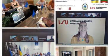 Мініатюра